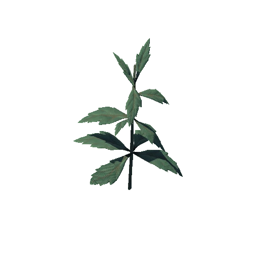 SM_Plant_Grass_Nettle_01