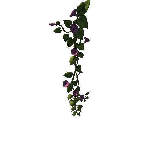 SM_Vine_Plant_Flower_Hanging_A_02