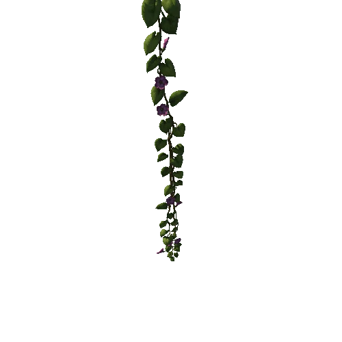 SM_Vine_Plant_Flower_Hanging_A_03