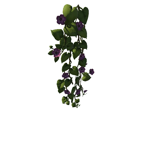 SM_Vine_Plant_Flower_Hanging_B_01