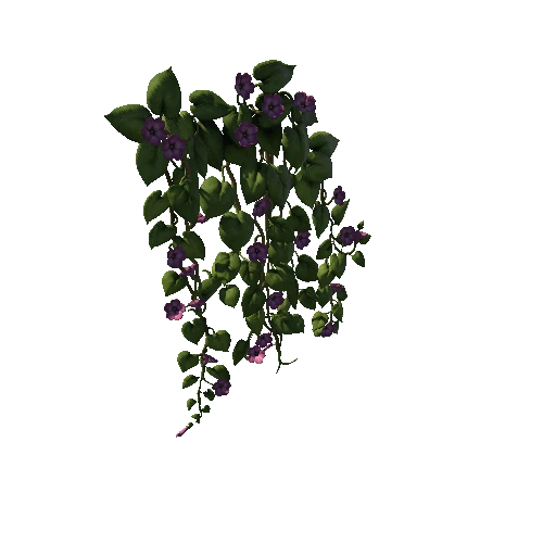 SM_Vine_Plant_Flower_Hanging_B_02
