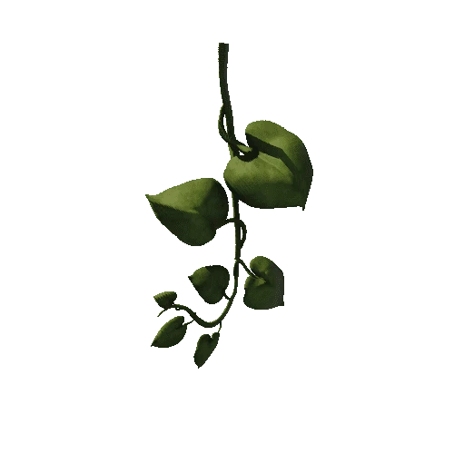 SM_Vine_Plant_Hanging_A_01