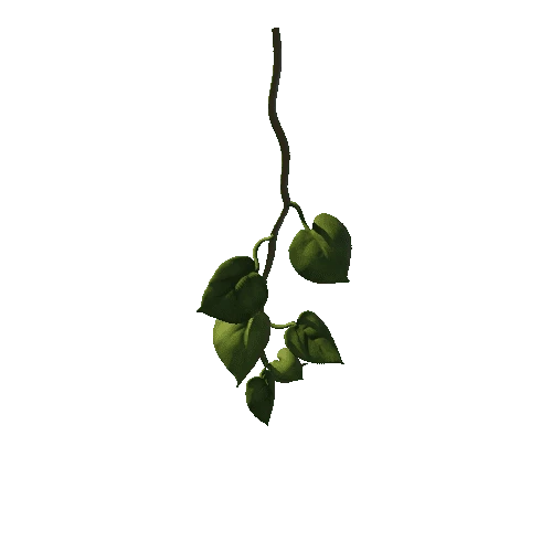 SM_Vine_Plant_Hanging_A_02