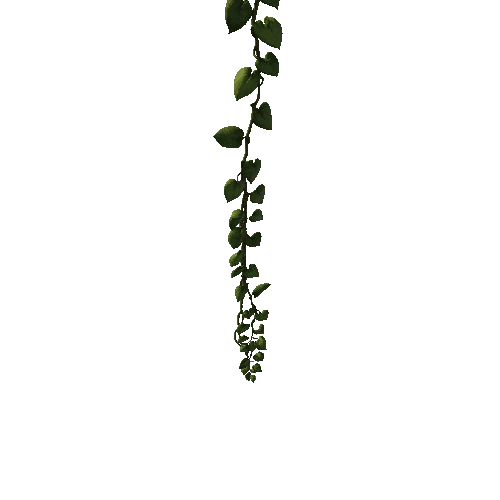 SM_Vine_Plant_Hanging_A_07