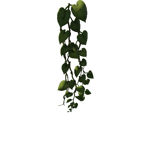 SM_Vine_Plant_Hanging_B_01