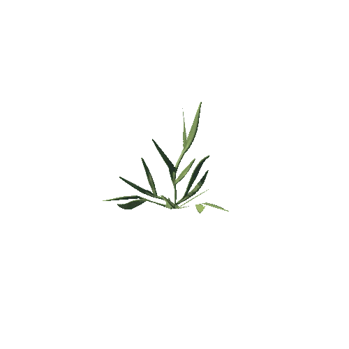 SM_Plant_Grass_Ezepnik_01