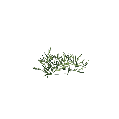 SM_Plant_Grass_Ezepnik_03