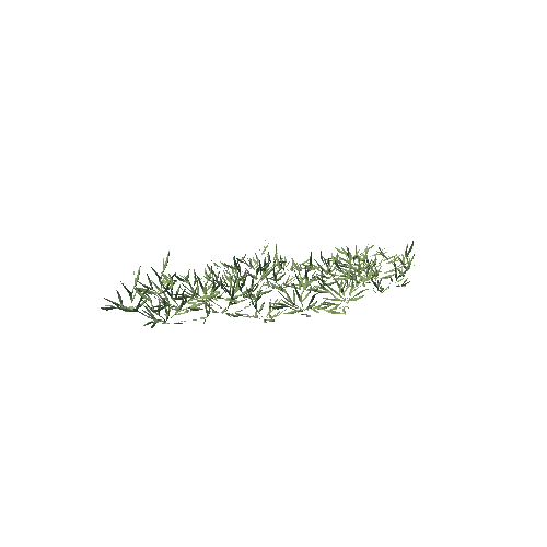 SM_Plant_Grass_Ezepnik_04