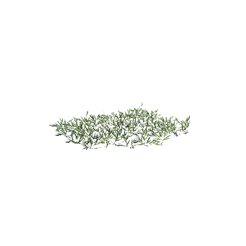 SM_Plant_Grass_Ezepnik_05