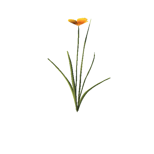 SM_Plant_Grass_Flower_Orange_01