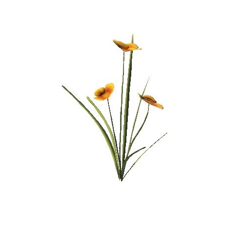 SM_Plant_Grass_Flower_Orange_02