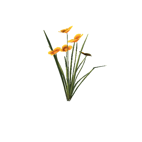 SM_Plant_Grass_Flower_Orange_03