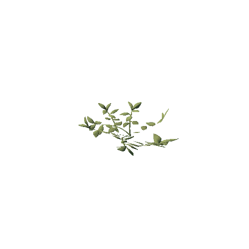 SM_Plant_Grass_Knotweed_01