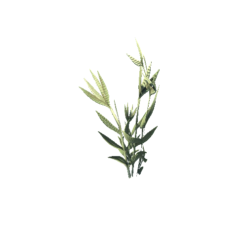 SM_Plant_Grass_Lavender_01
