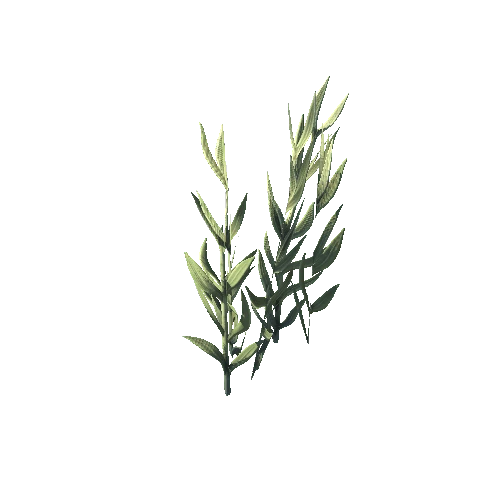 SM_Plant_Grass_Lavender_02