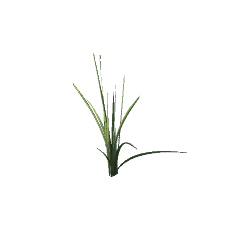 SM_Plant_Grass_Reed_01