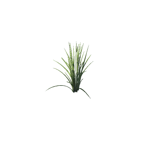 SM_Plant_Grass_Reed_02