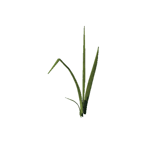 SM_Plant_Grass_Reedmace_01