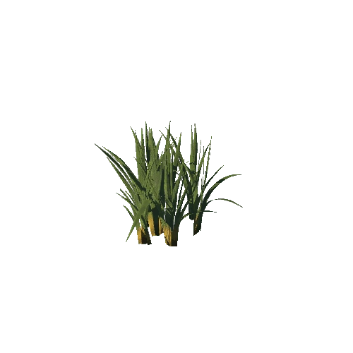 SM_Plant_Grass_Reedmace_04