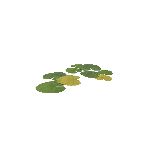 SM_Plant_WaterLily_01