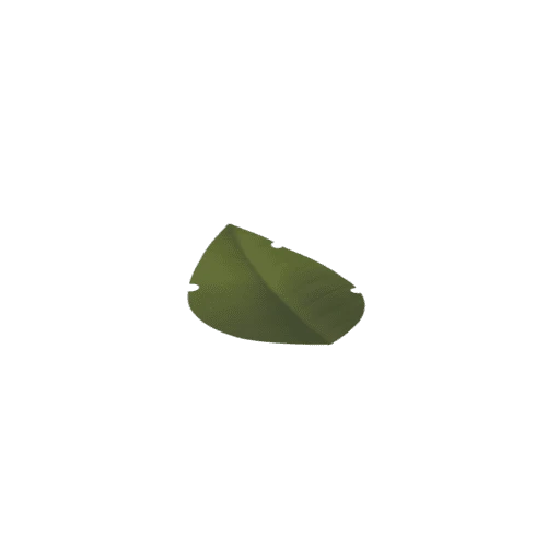 Leaf_C