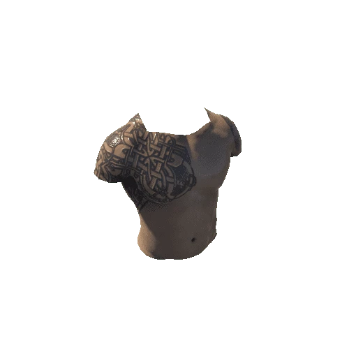 SK_Torso2