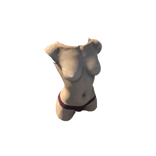 SK_Torso