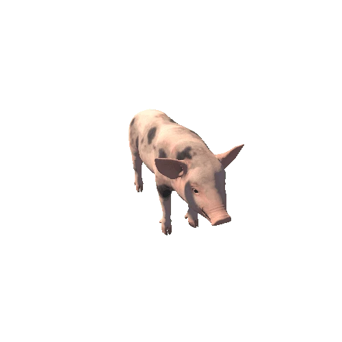 Pig_Y_Prefab