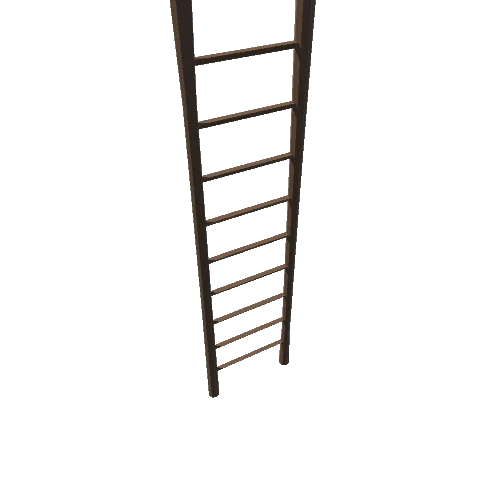 Ladder_02