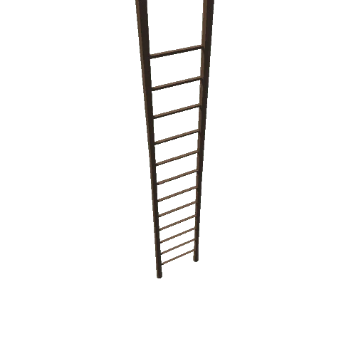 Ladder_02_Bridge