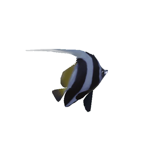 Bannerfish