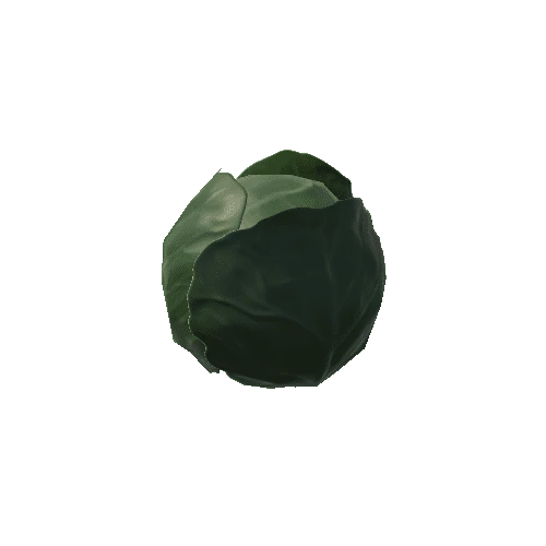 Cabbage_01