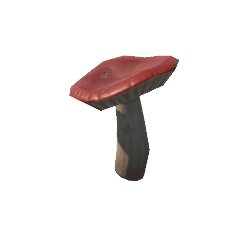 Mushroom_04