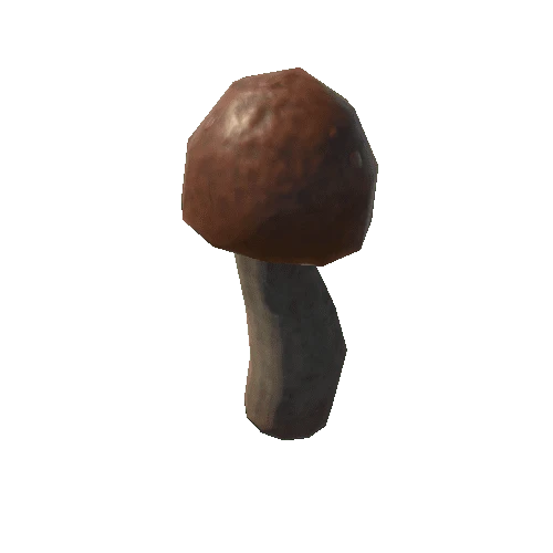 Mushroom_05