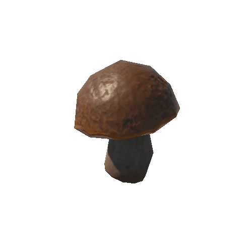 Mushroom_06