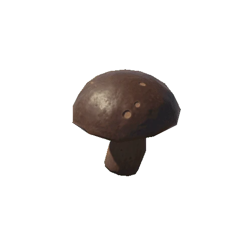 Mushroom_07