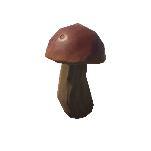 Mushroom_08