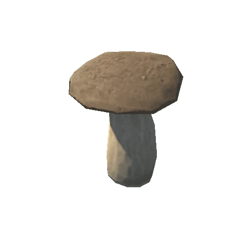 Mushroom_11