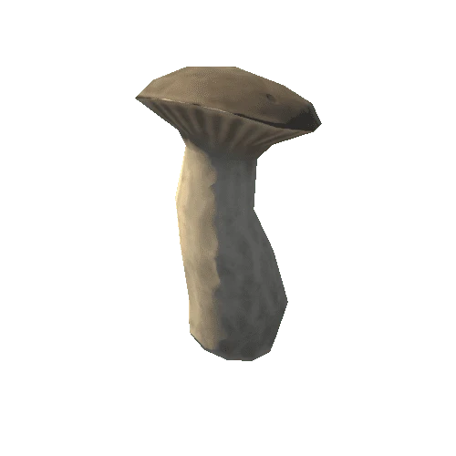 Mushroom_12