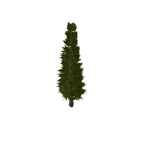 PineTree3