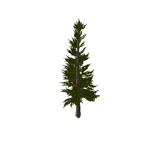 PineTree4