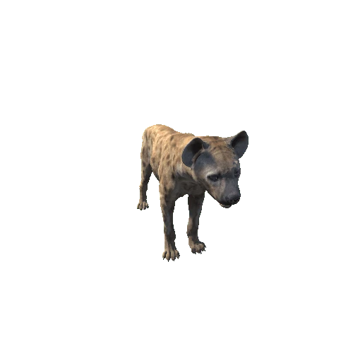 SpottedHyena_M_Prefab