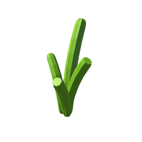 Cactus_05_A