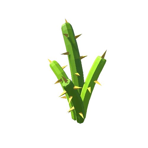 Cactus_05_B
