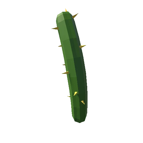 Cactus_06_B