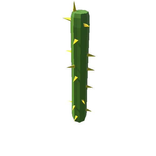 Cactus_07_B