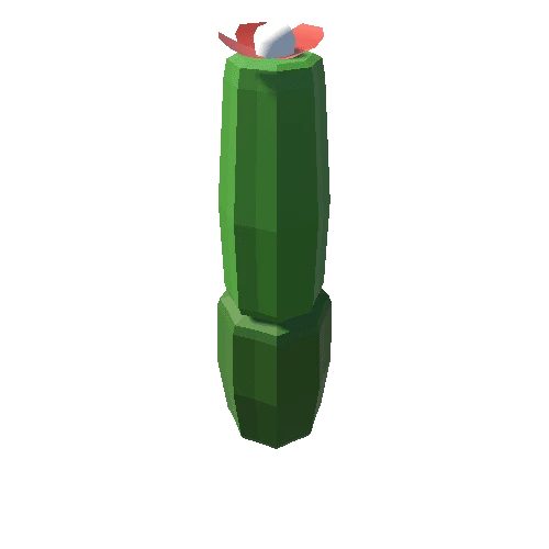 Cactus_10_A