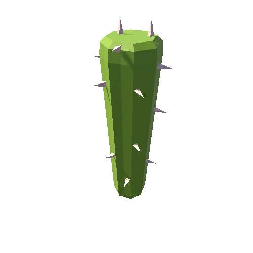 Cactus_11_B