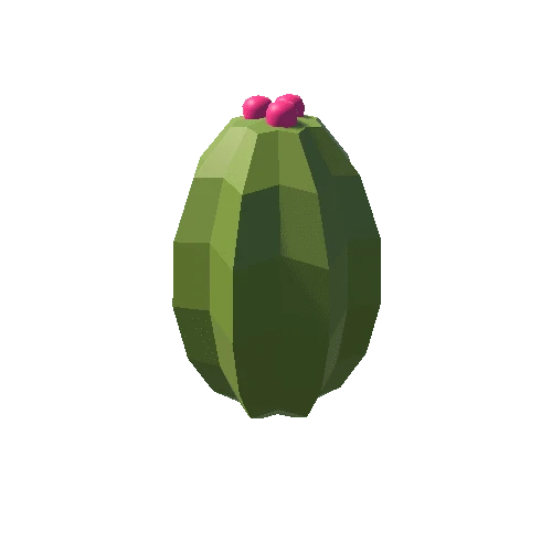 Cactus_13_A