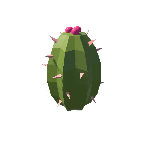 Cactus_13_B